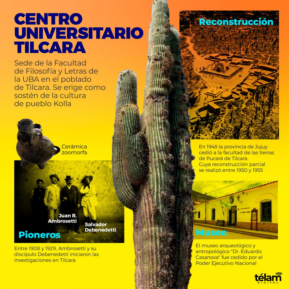 Infografa sobre los datos del UNT