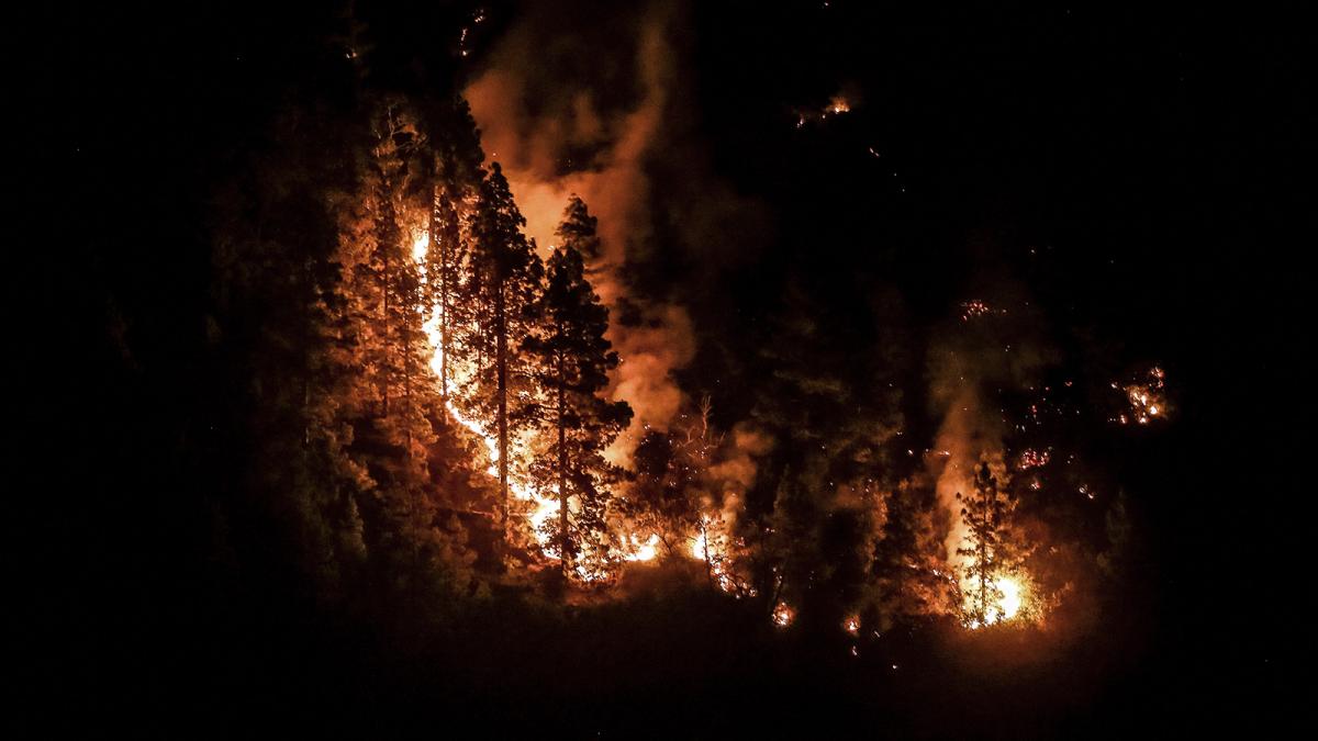 El calor agobiante azota el hemisferio norte con temperaturas extremas e incendios Foto AFP