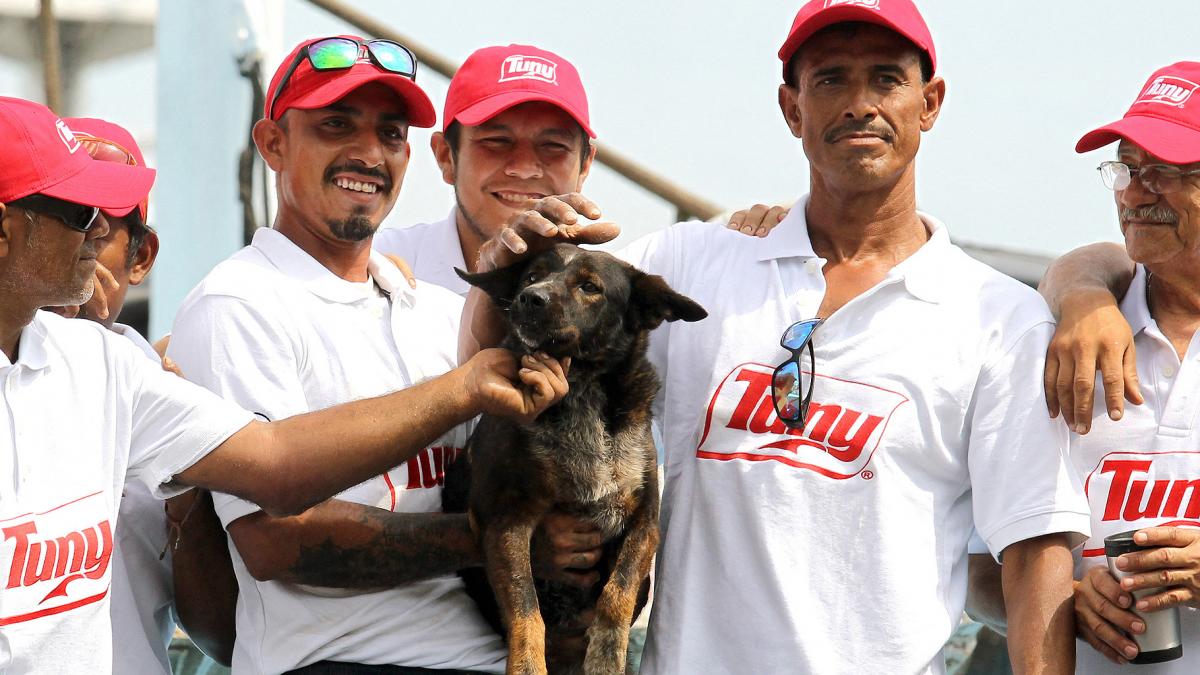 La perrita Bella al momento de ser rescatada del naufragio Foto AFP
