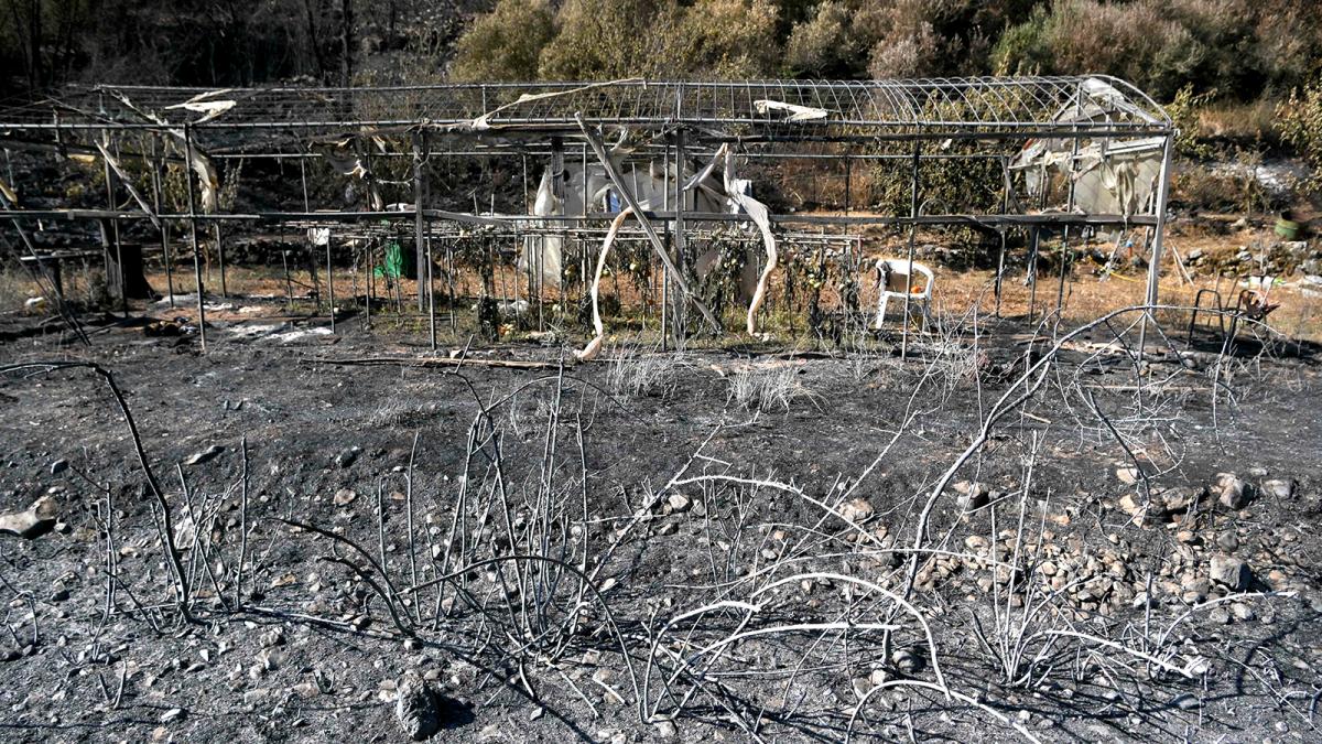 Foto AFP