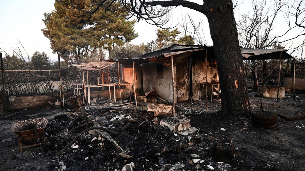 Los incendios provocaron hasta ahora cuatro muertos y ardieron casi 50000 hectreas de bosque y vegetacin Foto AFP