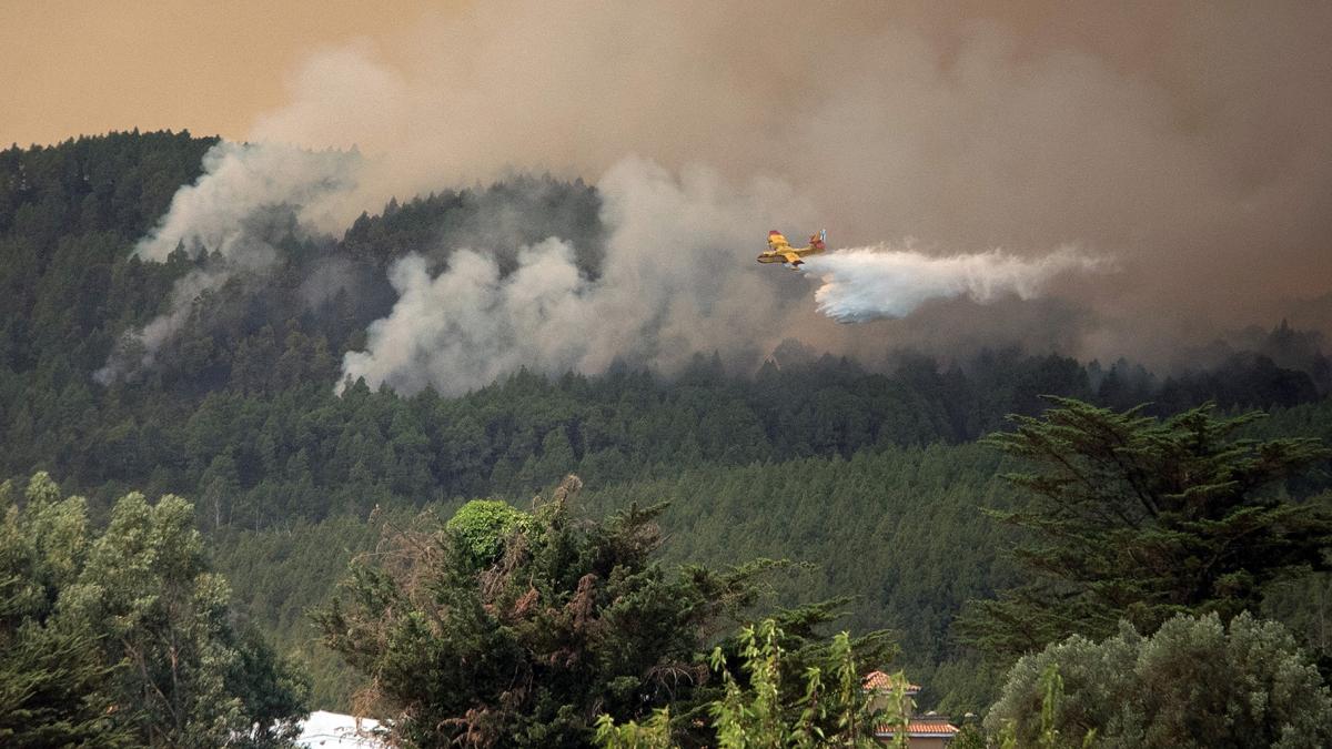 Ms de 250 personas y 17 aviones participan en las tareas de extincin del fuego Foto AFP