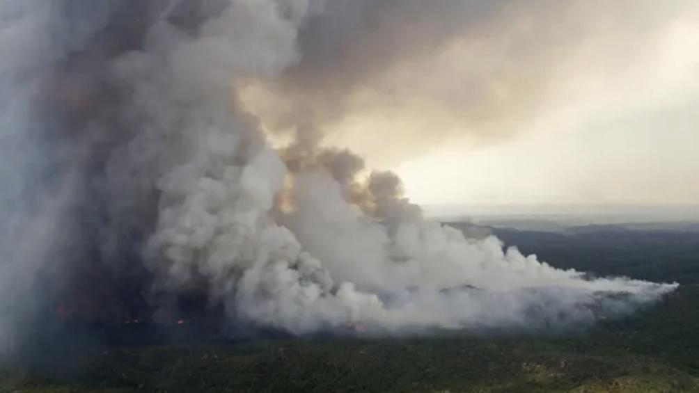 El incendio se inici presumiblemente a raz de la cada de un rayo en una zona prxima a la costa del golfo San Matas cerca del paraje Puerto Lobos Foto Tiempo Sur