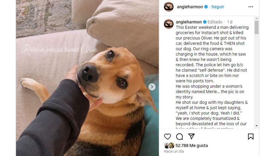 Oliver el perro de Angie Harmon que mataron
