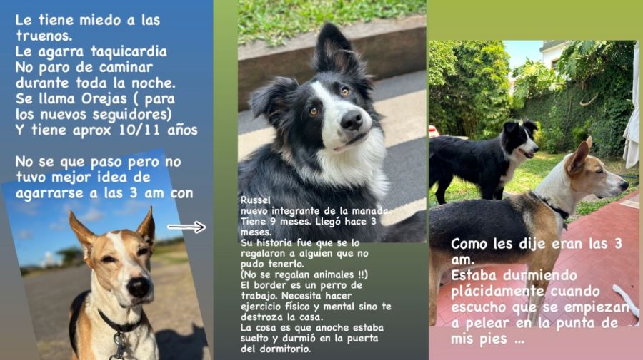 Marcela Baños accidente